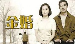 金婚电视剧在线观看,重温经典，共度五十载爱情传奇